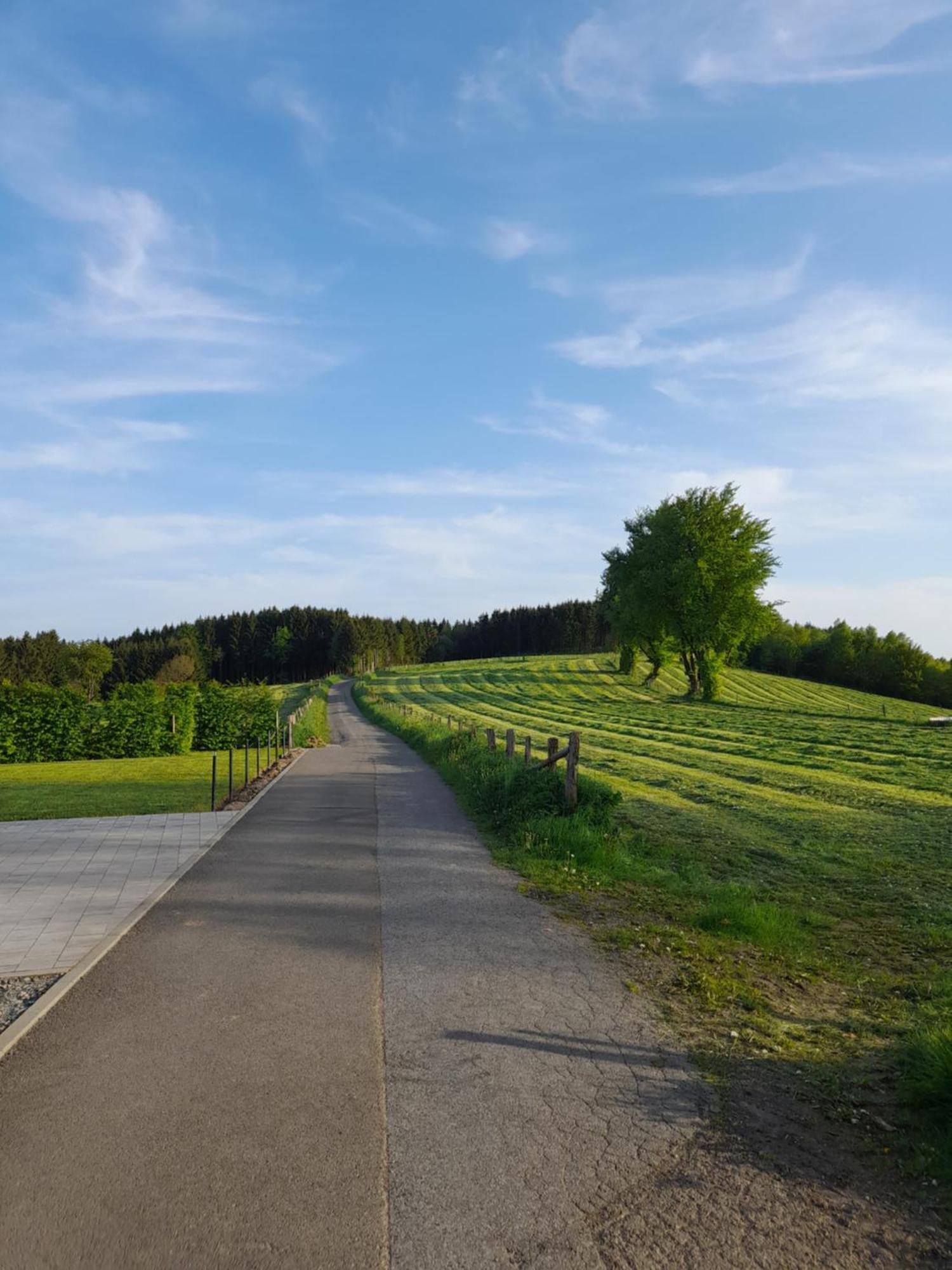 L'Ecureuil - Terrasses De Malmedy Villa Екстериор снимка