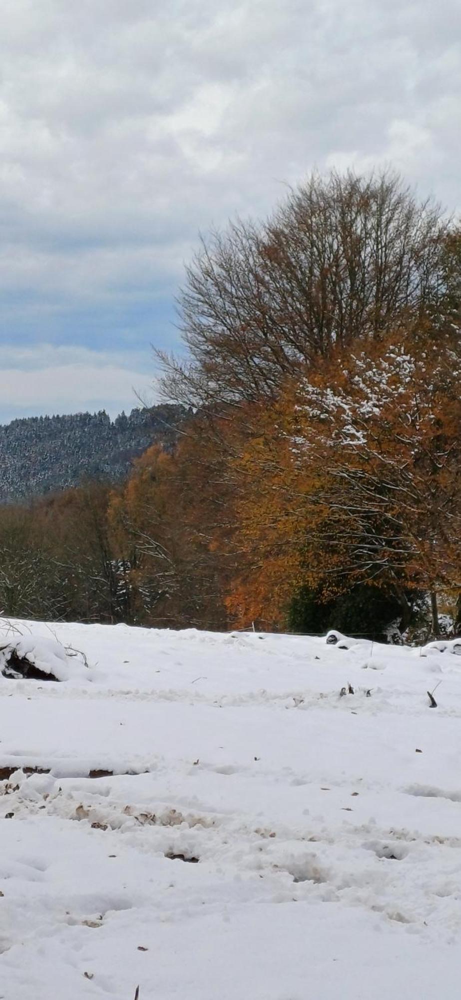 L'Ecureuil - Terrasses De Malmedy Villa Екстериор снимка